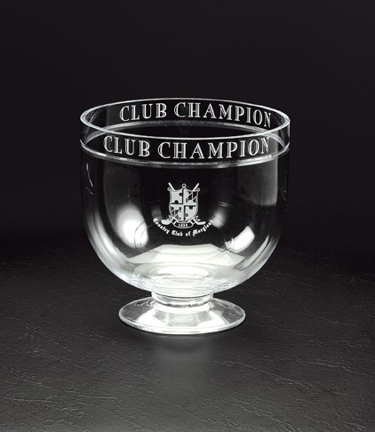 Etched crystal bowl with wraparound type - 8 3/4" d. x 9" h.