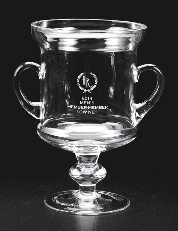 Etched glass trophy cup with handles - 12" ht.