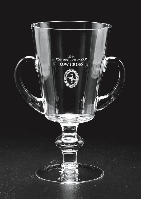 Etched glass trophy cup with handles - 7" ht.