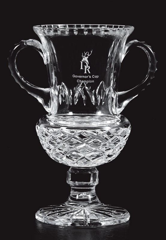 Etched lead crystal trophy cup - 9" ht.