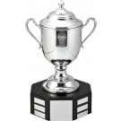 Fine pewter covered trophy cup on mahogany perpetual base