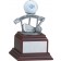 Pewter hole-in-one award on wood base